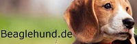 beaglehund.de
