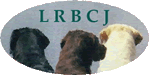 LabradorRetrieverBreederClub of JapanB